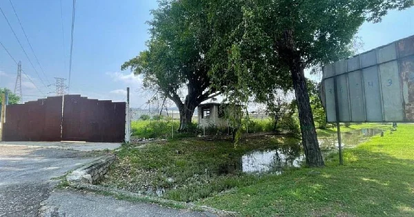 Expansive vacant land plot