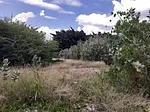 Sale of land in Turmero, Santiago Mariño, Turmero, Aragua thumbnail 4