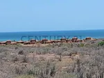 Sale of land in Ampliación de Juan Griego, Marcano, Juan Griego, Nueva Esparta thumbnail 1