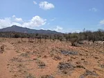 Sale of land in Ampliación de Juan Griego, Marcano, Juan Griego, Nueva Esparta thumbnail 2