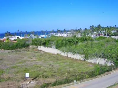 Tree-lined property boundary