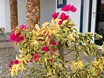 Conjunto De Casas, for sale, In Resd. La Chulinga, Sector el Horcón, Nueva Esparta, Isla de Margarita, 23,000 Mt2, 22 bedrooms and 25 bathrooms - Inmuebles Margarita - 2 MIL thumbnail 3
