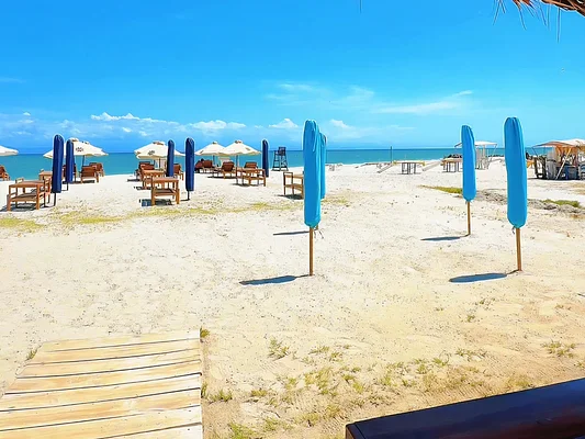 Private backyard with patio