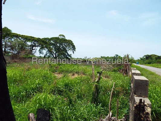 Vacant land with open space