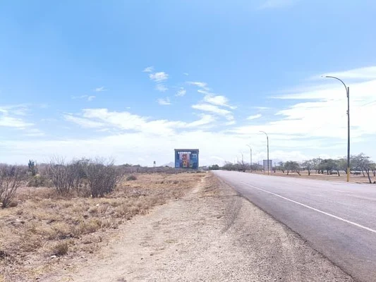 Bedroom with natural light