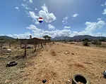 land, for sale, In Las Villarroeles, Nueva Esparta, Isla de Margarita, 408 mt2 - Inmuebles Margarita - 2 MIL thumbnail 5
