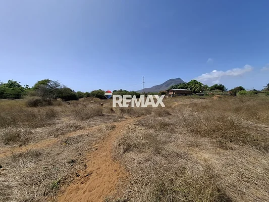 land, for sale, In El Tirano, Nueva Esparta, Isla de Margarita, 4.312,05 mt2 - Inmuebles Margarita - 2 MIL