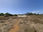 land, for sale, In El Tirano, Nueva Esparta, Isla de Margarita, 4.312,05 mt2 - Inmuebles Margarita - 2 MIL thumbnail 1