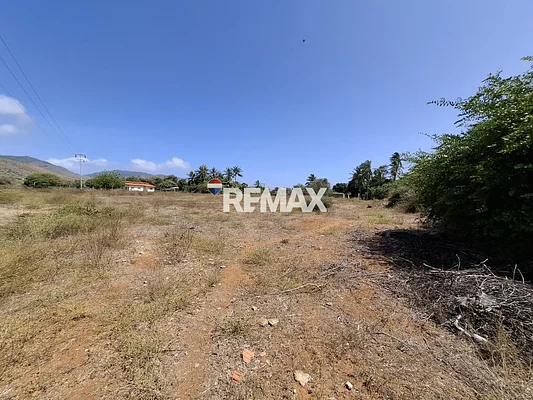 Property aerial overview shot