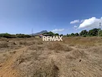 land, for sale, In El Tirano, Nueva Esparta, Isla de Margarita, 4.312,05 mt2 - Inmuebles Margarita - 2 MIL thumbnail 3