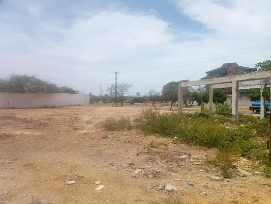 Neighborhood street view