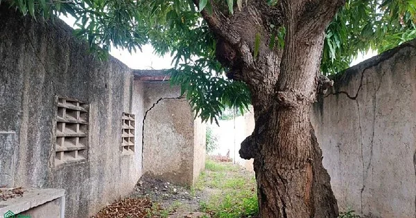 Land for sale with project for School - Calle los robles parcela numero 102, 6316 Pampatar - Plot of land for sale - Image 2