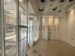 Sale of commercial space in San José, San José de Guanipa, El Tigrito, Anzoategui thumbnail 2
