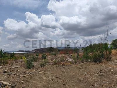 Natural terrain and vegetation