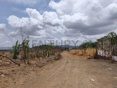 Scenic view across the acreage