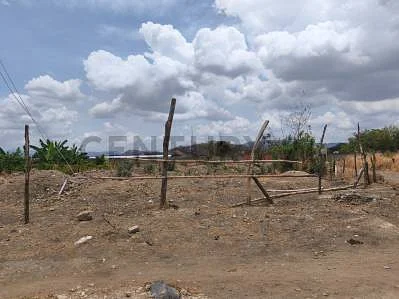 Wide landscape of undeveloped land