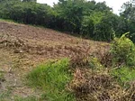 Sale of land in Otros, Palmira, Guásimos, Táchira thumbnail 3