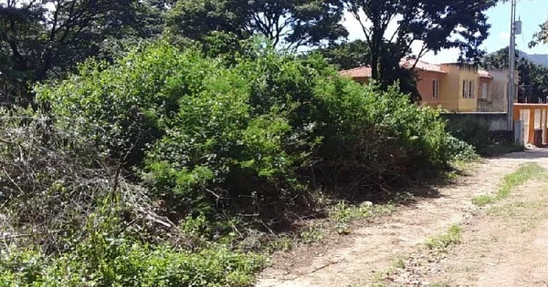 Land in the Asunción, Salamanca. - Cazorla Terreno en Salamanca, 6311 La Asuncion - Plot of land for sale