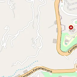 Plant growth on property