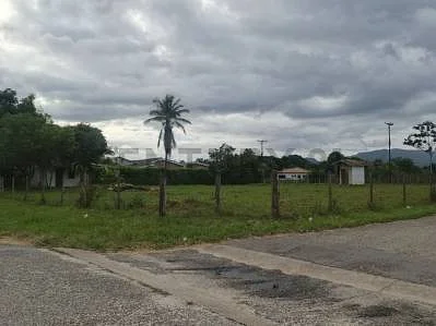 Dirt path across lot