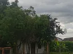 Sale of land in Safari Carabobo Country Club, Libertador, Tocuyito, Carabobo thumbnail 5