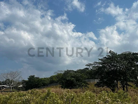 Sale of farm/estate in Centro Bejuma, Bejuma, Urbana Bejuma, Carabobo