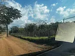Sale of farm/estate in Centro Bejuma, Bejuma, Urbana Bejuma, Carabobo thumbnail 4