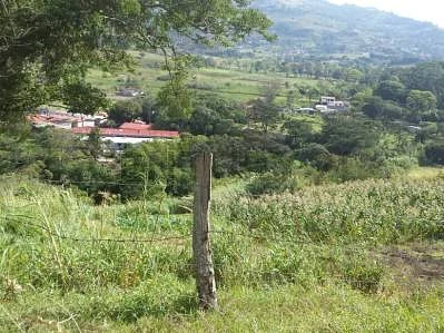 Open space and distant trees