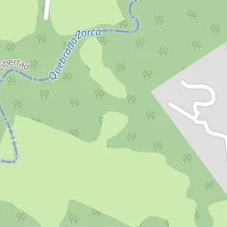 Natural vegetation detail