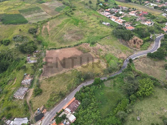 Sale of land in Independencia, Peribeca, Táchira