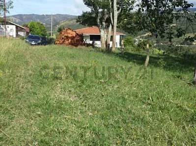 Property line and surrounding area