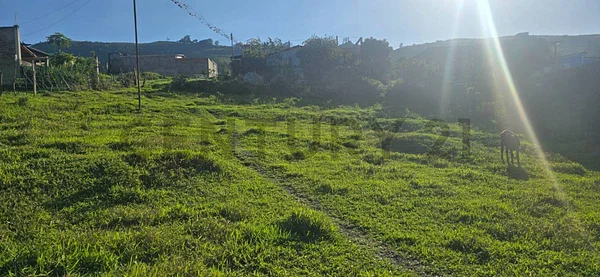 Sale of land in Sector El Llanito, Independencia, Peribeca, Táchira