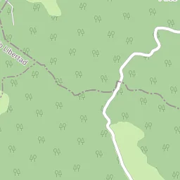 Property boundary fence line