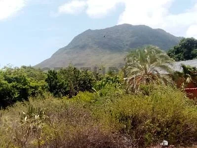 Sale of land in Loma de Guerra, Antolín del Campo, La Plaza de Paraguachí, Nueva Esparta - Image 6