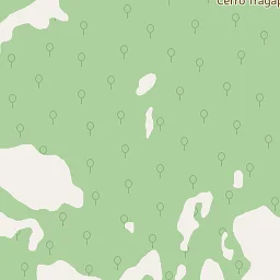 Property line and fencing