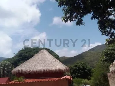 Sale of land in Loma de Guerra, Antolín del Campo, La Plaza de Paraguachí, Nueva Esparta - Image 4