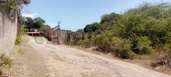 Vacant land with open field