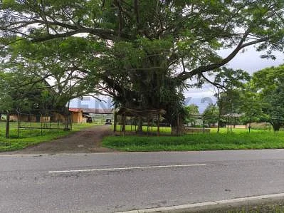Sale of farm/estate in Centro Montalbán, Montalbán, Montalbán, Carabobo - Image 3