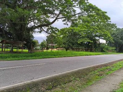 Sale of farm/estate in Centro Montalbán, Montalbán, Montalbán, Carabobo - Image 5