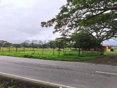 Sale of farm/estate in Centro Montalbán, Montalbán, Montalbán, Carabobo - Image 2