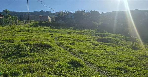 Land for sale in El Llanito - El Llanito 6, 5001 Capacho Viejo - Plot of land for sale - Image 1