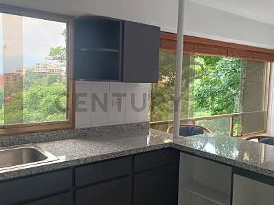 Kitchen appliances view