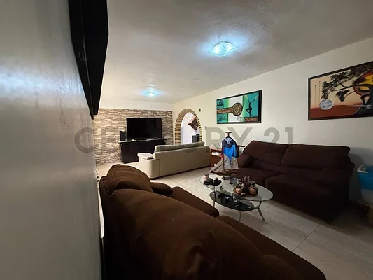 Bright living room with sofa