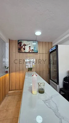 Bright living room with sofa