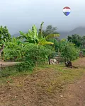 land, for sale, In Caserio Espinoza, Nueva Esparta, Isla de Margarita, 387.75 MT2 - Inmuebles Margarita - 2 MIL thumbnail 5