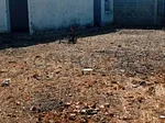Sale of land in El Espinal, Díaz, San Juan Bautista, Nueva Esparta thumbnail 4