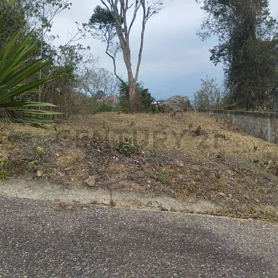 Wide open land plot