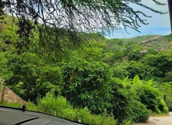 Ideal land to build an urban development in Cumaná - Avenida Cancamure Sn, 6101 Cumana - Plot of land for sale