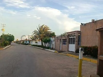 Undeveloped land area