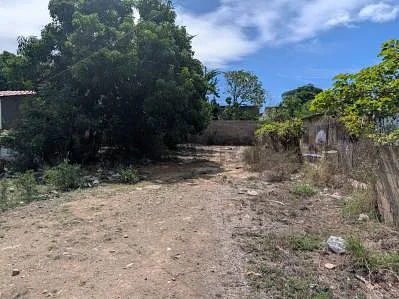 Boundary marker near fence